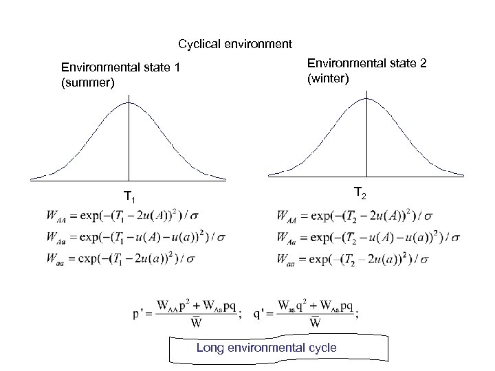 Cyclical environment Environmental state 1 (summer) Environmental state 2 (winter) T 2 T 1