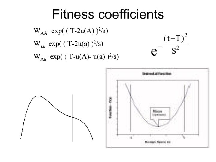 Fitness coefficients WAA=exp( ( T-2 u(A) )2/s) Waa=exp( ( T-2 u(a) )2/s) WAa=exp( (