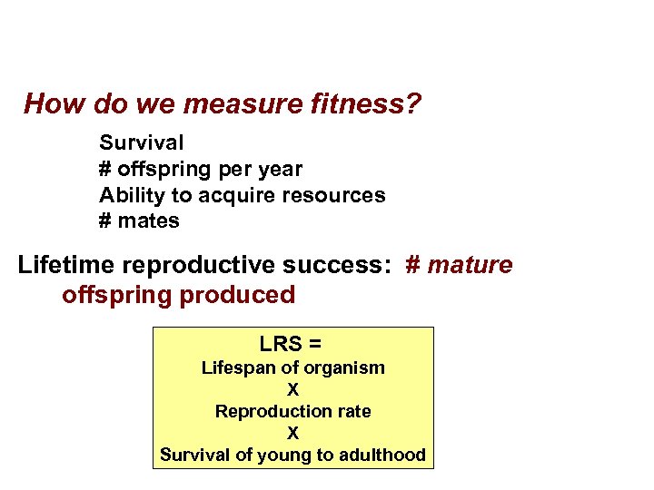 FITNESS How do we measure fitness? Survival # offspring per year Ability to acquire