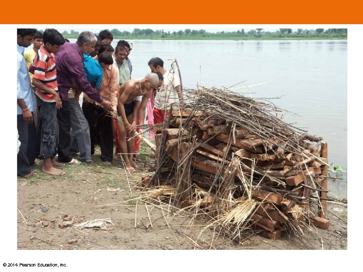 © 2014 Pearson Education, Inc. 