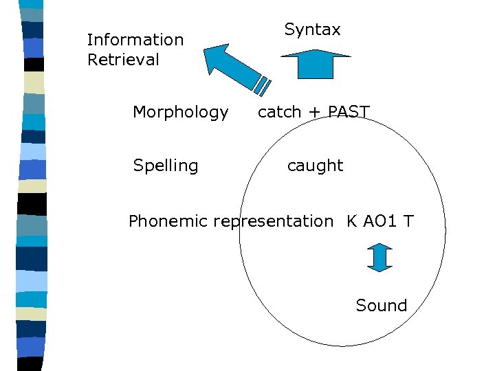 Information Retrieval Morphology Spelling Syntax catch + PAST caught Phonemic representation K AO 1