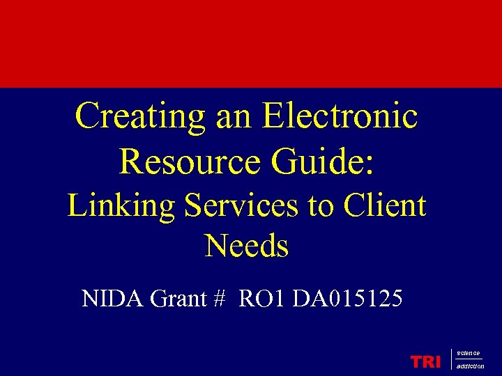 Creating an Electronic Resource Guide: Linking Services to Client Needs NIDA Grant # RO
