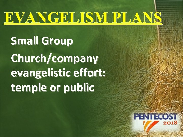 EVANGELISM PLANS Small Group Church/company evangelistic effort: temple or public 