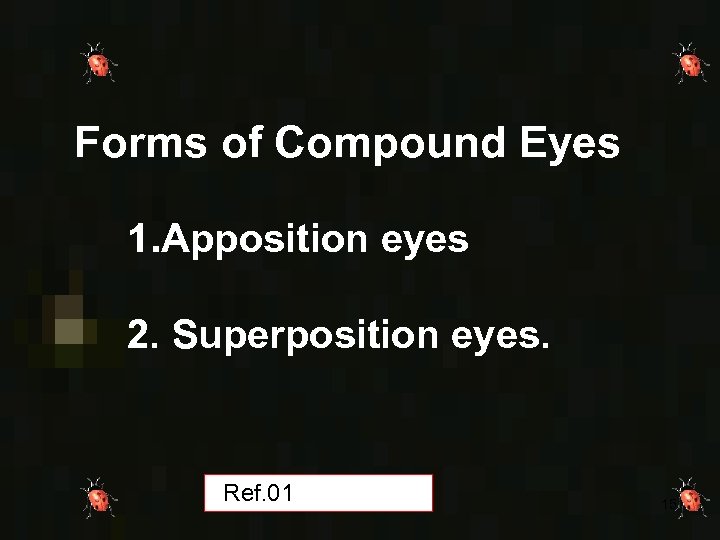 Forms of Compound Eyes 1. Apposition eyes 2. Superposition eyes. Ref. 01 15 