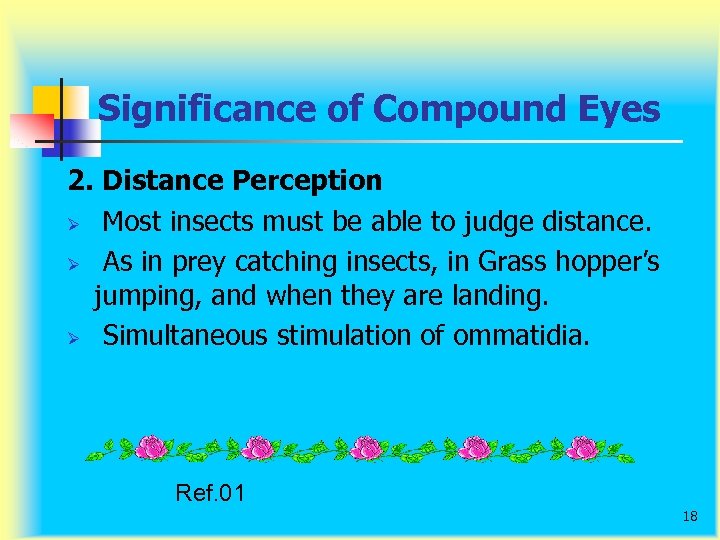 Significance of Compound Eyes 2. Distance Perception Ø Most insects must be able to