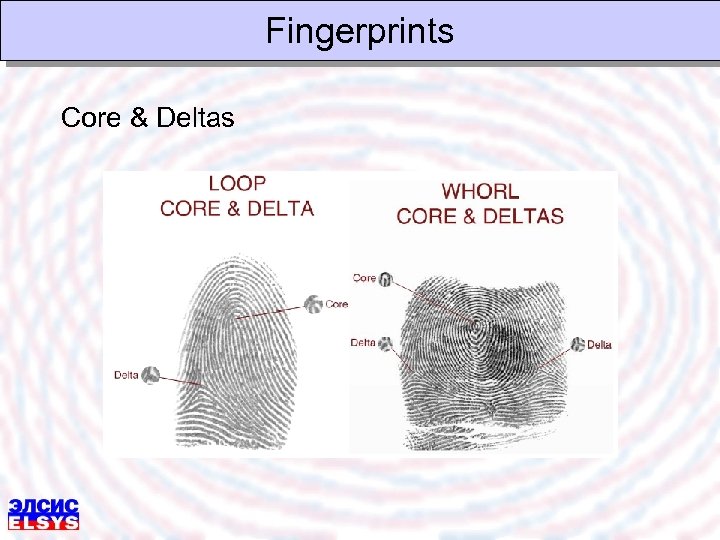 Fingerprints Core & Deltas 