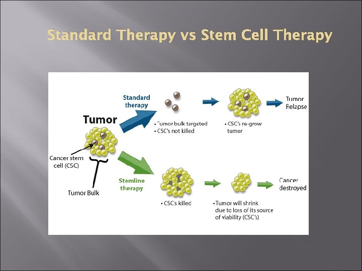 Standard Therapy vs Stem Cell Therapy 