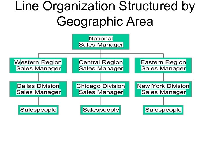Line Organization Structured by Geographic Area 