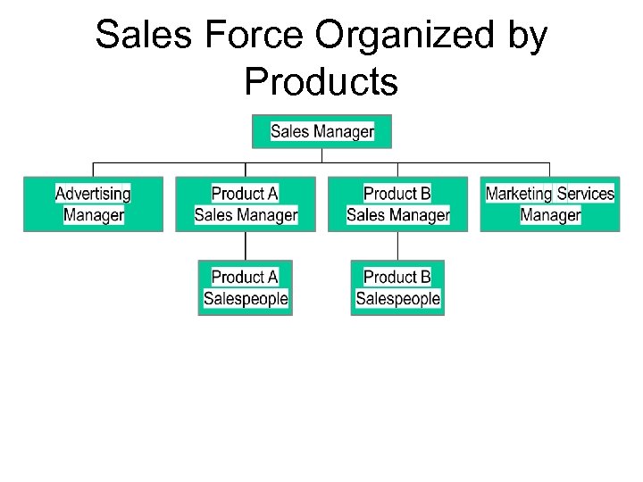 Sales Force Organized by Products 