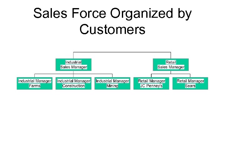 Sales Force Organized by Customers 
