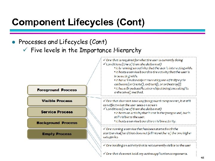 Component Lifecycles (Cont) l Processes and Lifecycles (Cont) Five levels in the Importance Hierarchy