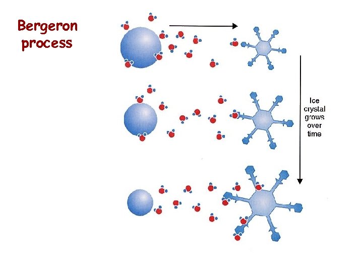 Bergeron process 