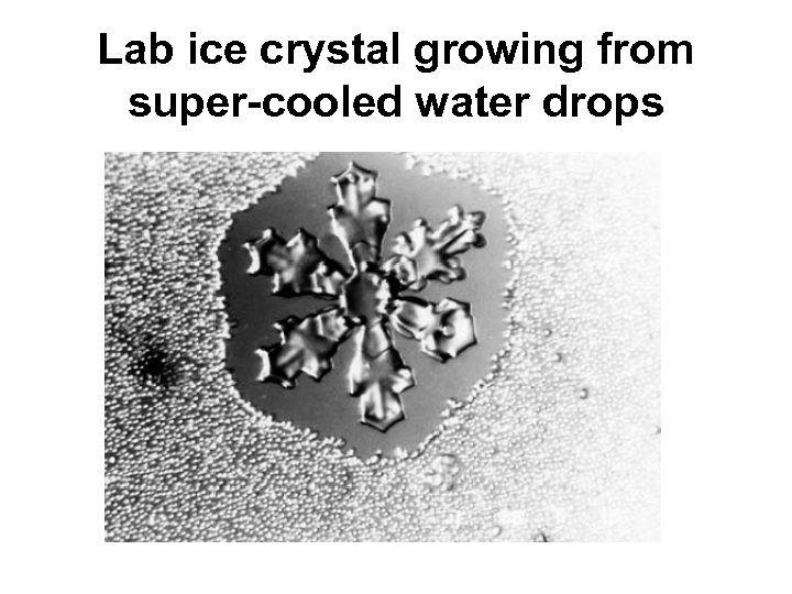 Lab ice crystal growing from super-cooled water drops 