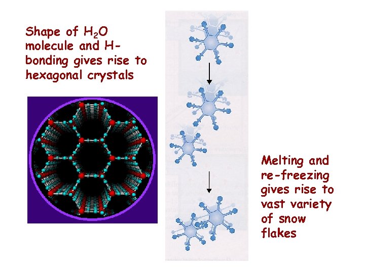 Shape of H 2 O molecule and Hbonding gives rise to hexagonal crystals Melting