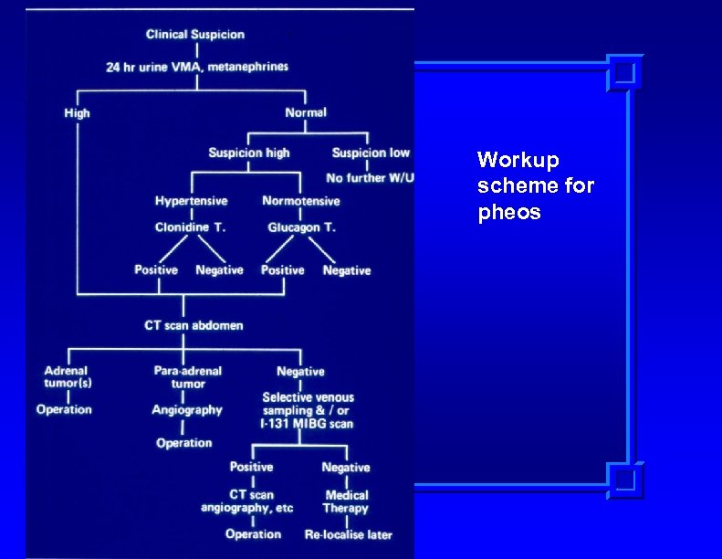 Workup scheme for pheos 