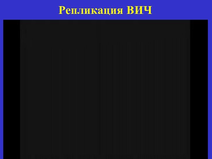 Репликация ВИЧ 