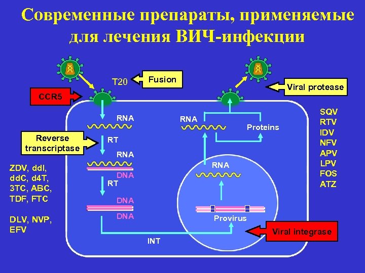 Современные препараты, применяемые для лечения ВИЧ-инфекции T 20 Fusion Viral protease CCR 5 RNA
