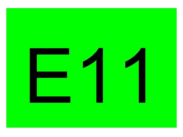 E 11 