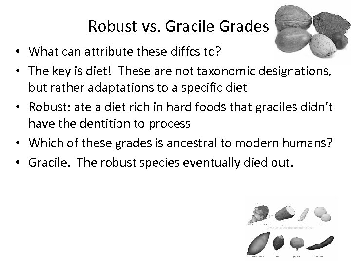 Robust vs. Gracile Grades • What can attribute these diffcs to? • The key