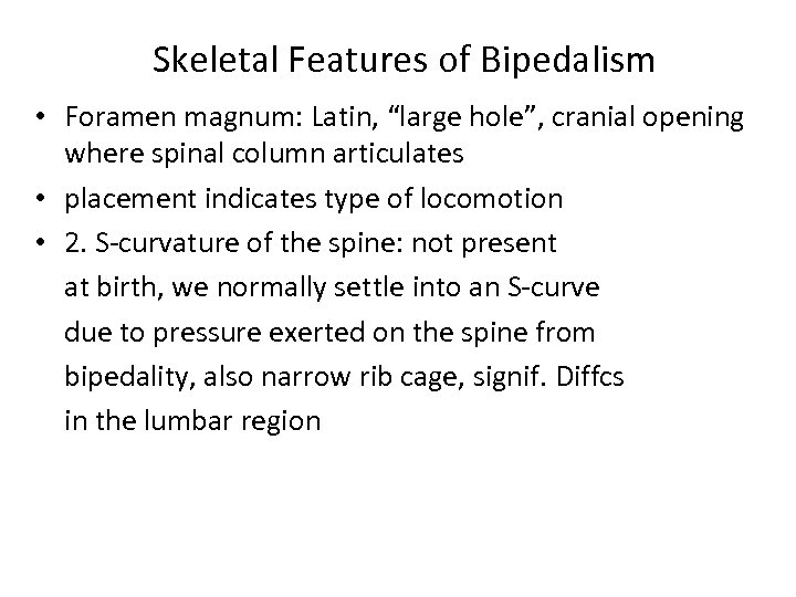 Skeletal Features of Bipedalism • Foramen magnum: Latin, “large hole”, cranial opening where spinal