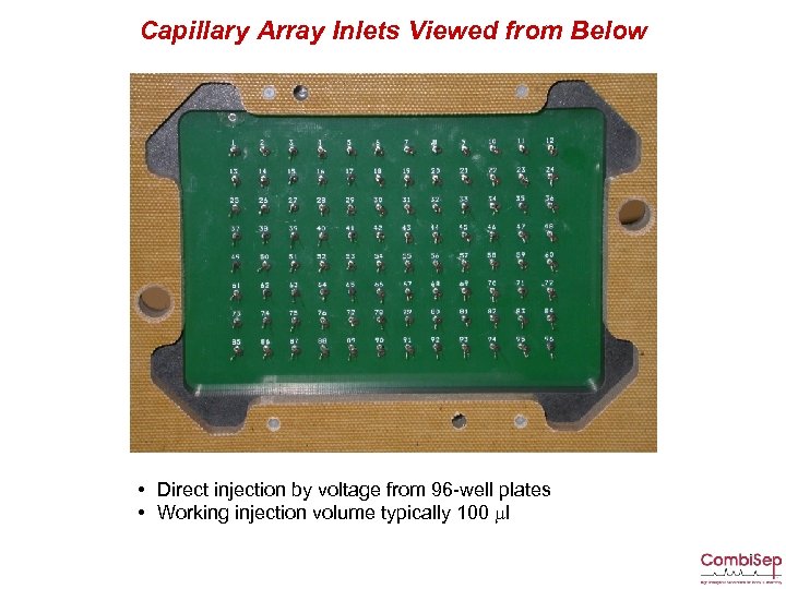 Capillary Array Inlets Viewed from Below • Direct injection by voltage from 96 -well