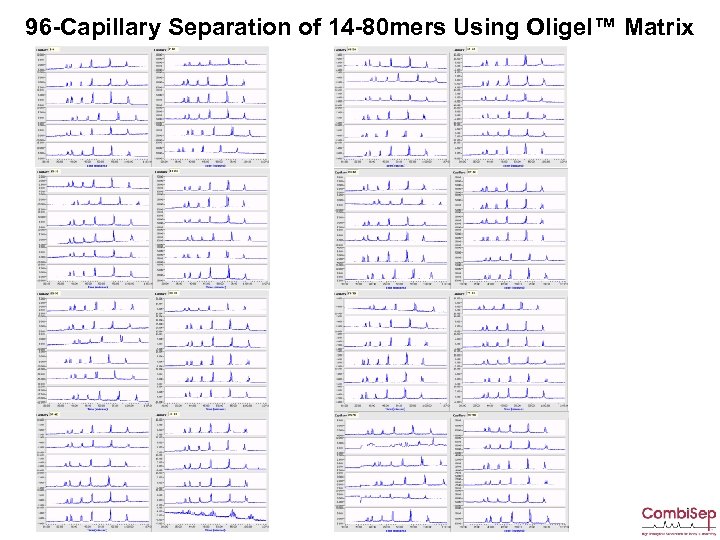 96 -Capillary Separation of 14 -80 mers Using Oligel™ Matrix 