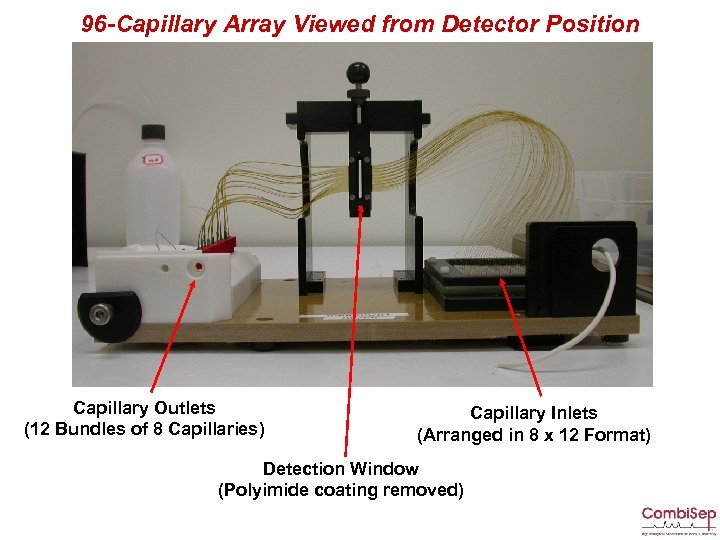 96 -Capillary Array Viewed from Detector Position Capillary Outlets (12 Bundles of 8 Capillaries)