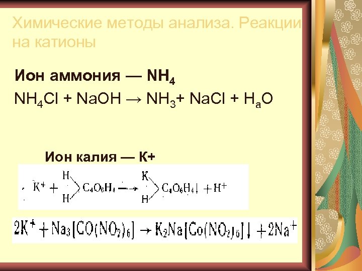 Химические методы анализа. Реакции на катионы Ион аммония — NH 4 Cl + Na.