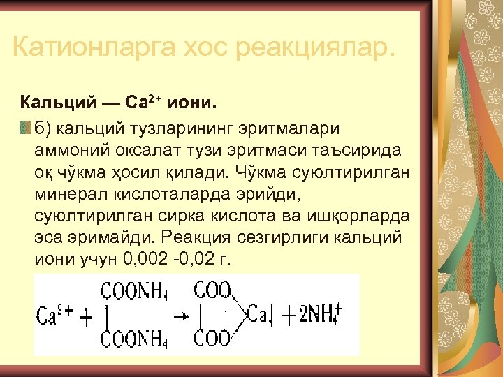 Катионларга хос реакциялар. Кальций — Са 2+ иони. б) кальций тузларининг эритмалари аммоний оксалат