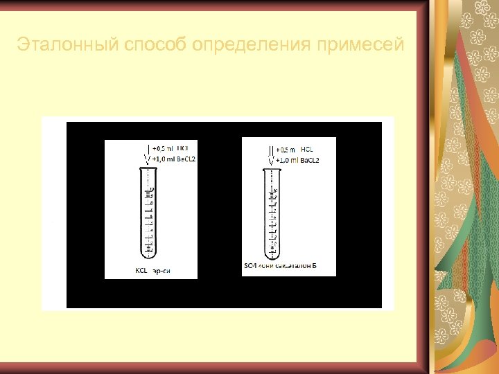 Эталонная карта кедотта терджена