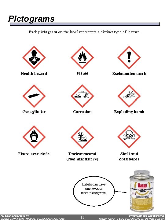 Pictograms Each pictogram on the label represents a distinct type of hazard. Health hazard