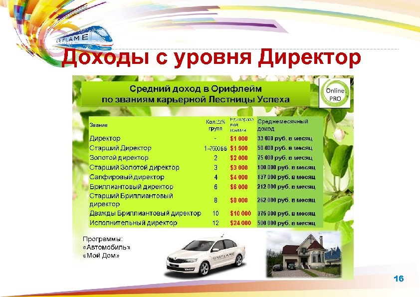 Доходы с уровня Директор 16 