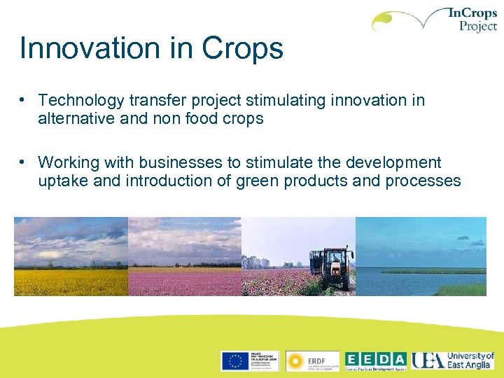 Innovation in Crops • Technology transfer project stimulating innovation in alternative and non food