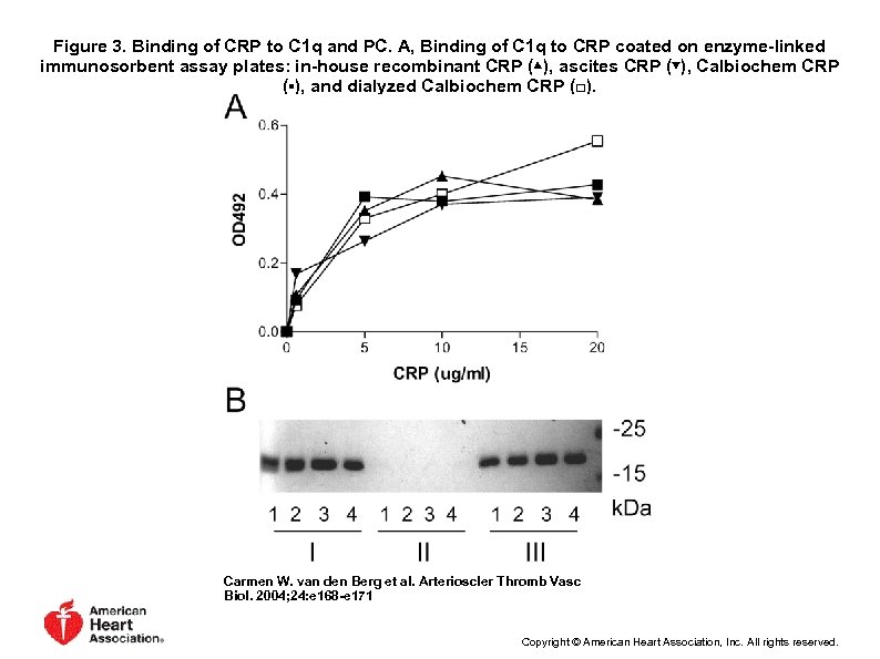 Figure 3. Binding of CRP to C 1 q and PC. A, Binding of