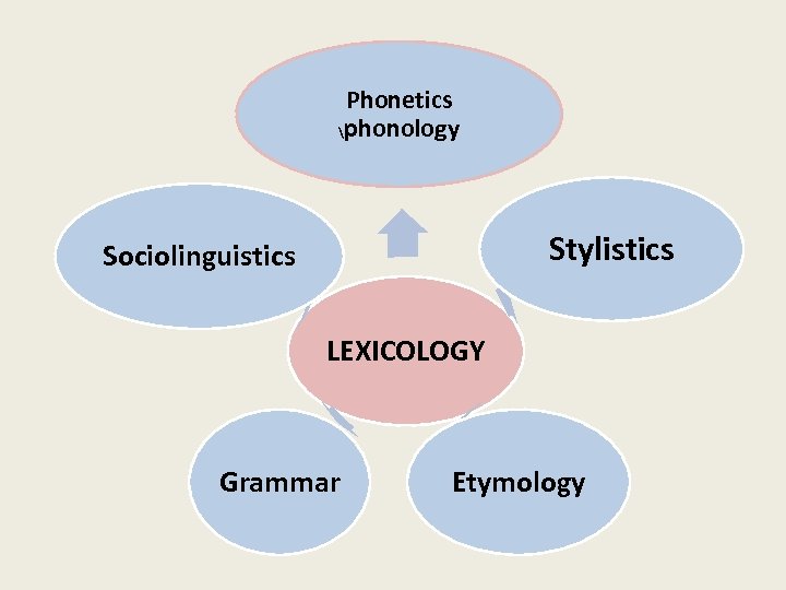 Phonetics phonology Stylistics Sociolinguistics LEXICOLOGY Grammar Etymology 