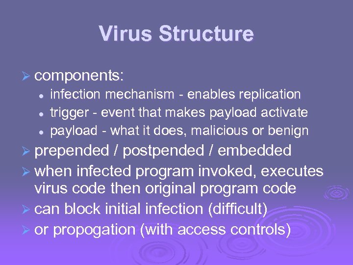 Virus Structure Ø components: l l l infection mechanism - enables replication trigger -