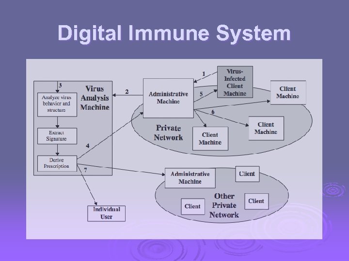 Digital Immune System 