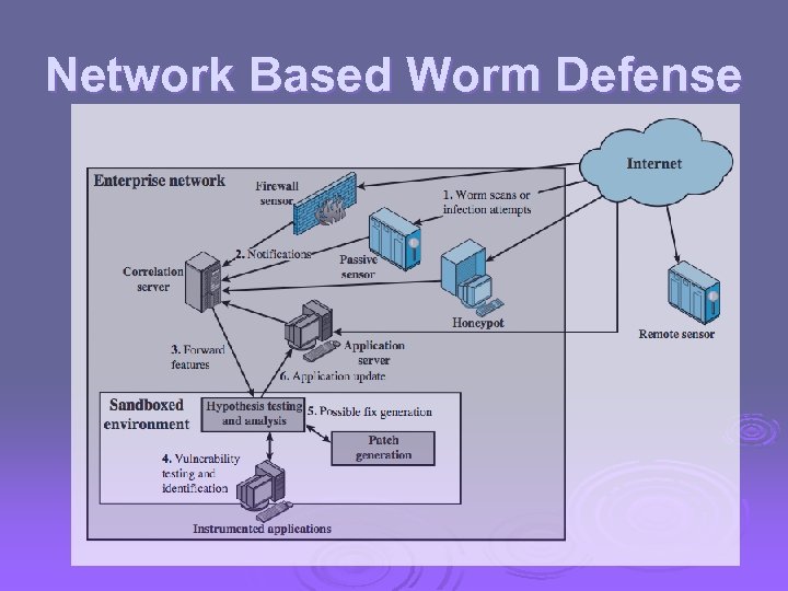 Network Based Worm Defense 