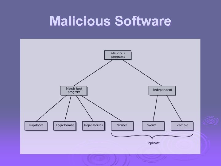 Malicious Software 