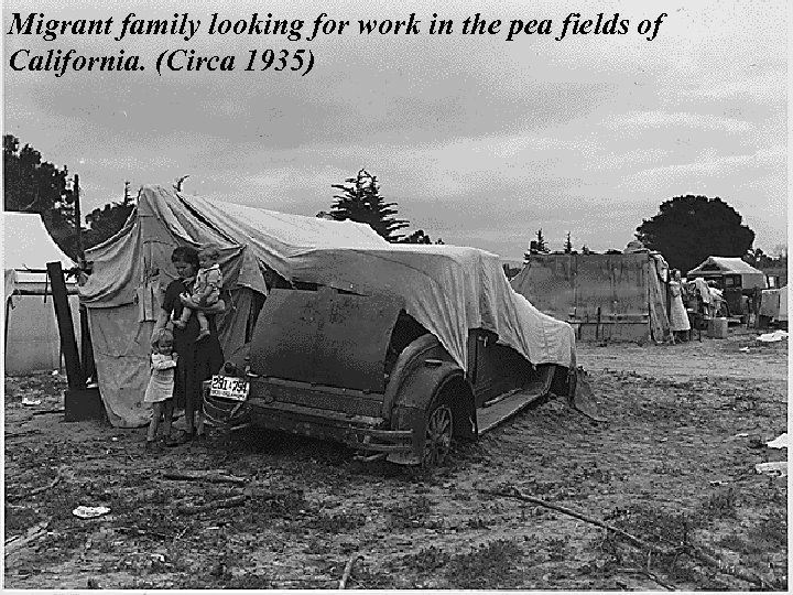 Migrant family looking for work in the pea fields of California. (Circa 1935) 