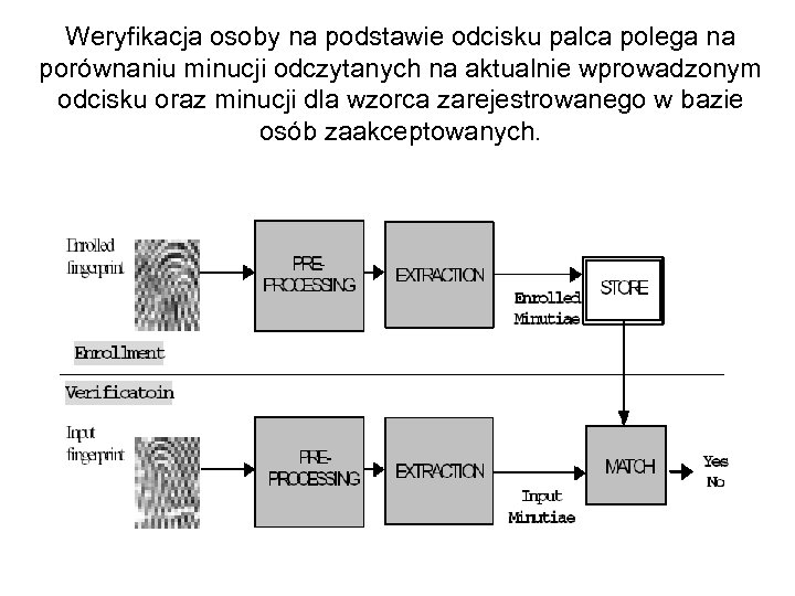 Weryfikacja osoby na podstawie odcisku palca polega na porównaniu minucji odczytanych na aktualnie wprowadzonym