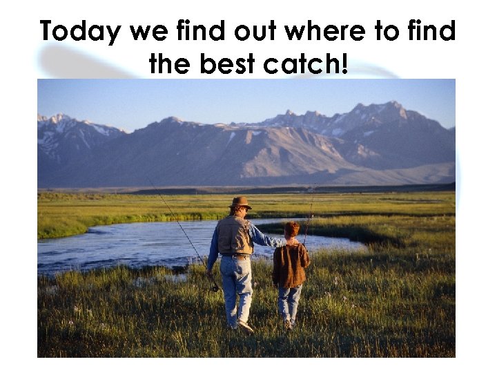 Today we find out where to find the best catch! 