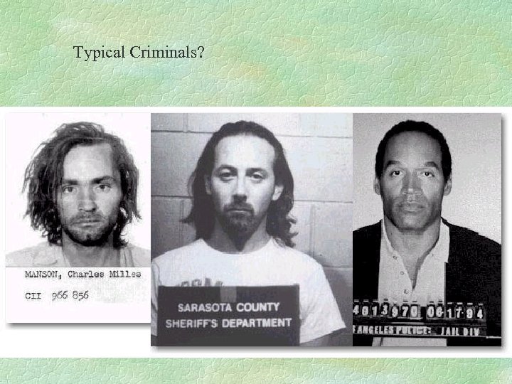Typical Criminals? 