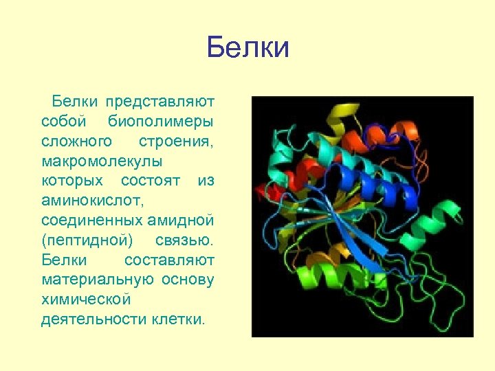 Химическая природа клетки. Белки представляют собой. Что представляет собой белок. Белки макромолекулы. Молекулы белка представляют собой.