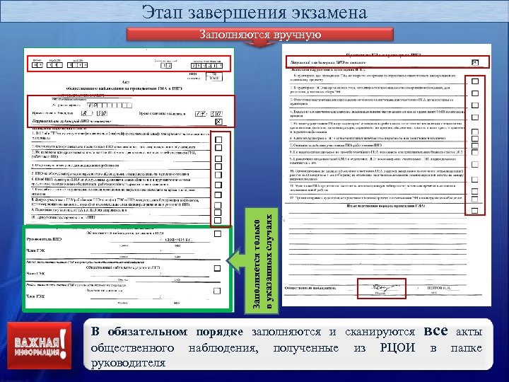 Этап завершения экзамена Заполняется только в указанных случаях Заполняются вручную В обязательном порядке заполняются
