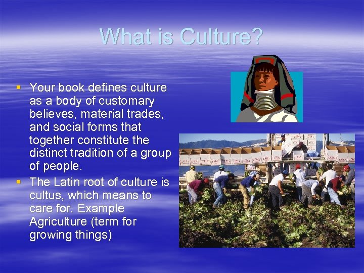 What is Culture? § Your book defines culture as a body of customary believes,