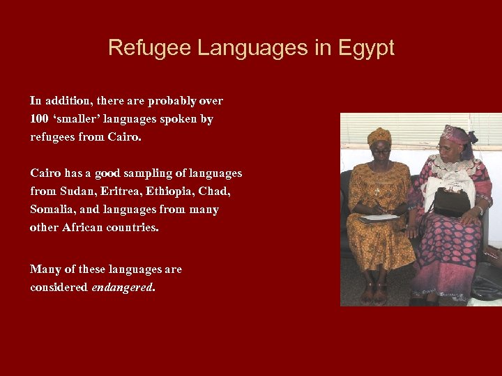 Refugee Languages in Egypt In addition, there are probably over 100 ‘smaller’ languages spoken