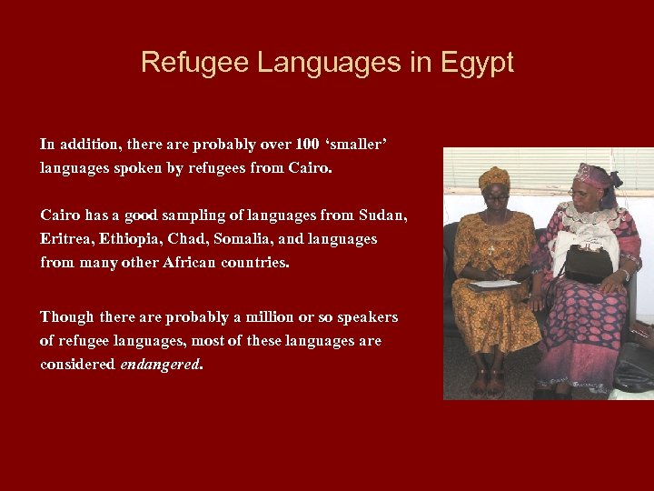 Refugee Languages in Egypt In addition, there are probably over 100 ‘smaller’ languages spoken