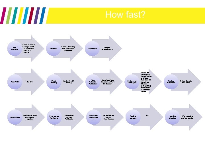 How fast? Pre. Analytical • DNA Extraction • Sample Qubit Quantification and DNA Dilution