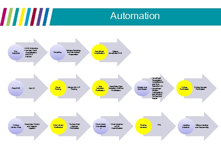 Automation Pre. Analytical • DNA Extraction • Sample Qubit Quantification and DNA Dilution Panelling